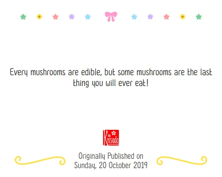 024 Mushroom Picking หน้า 2