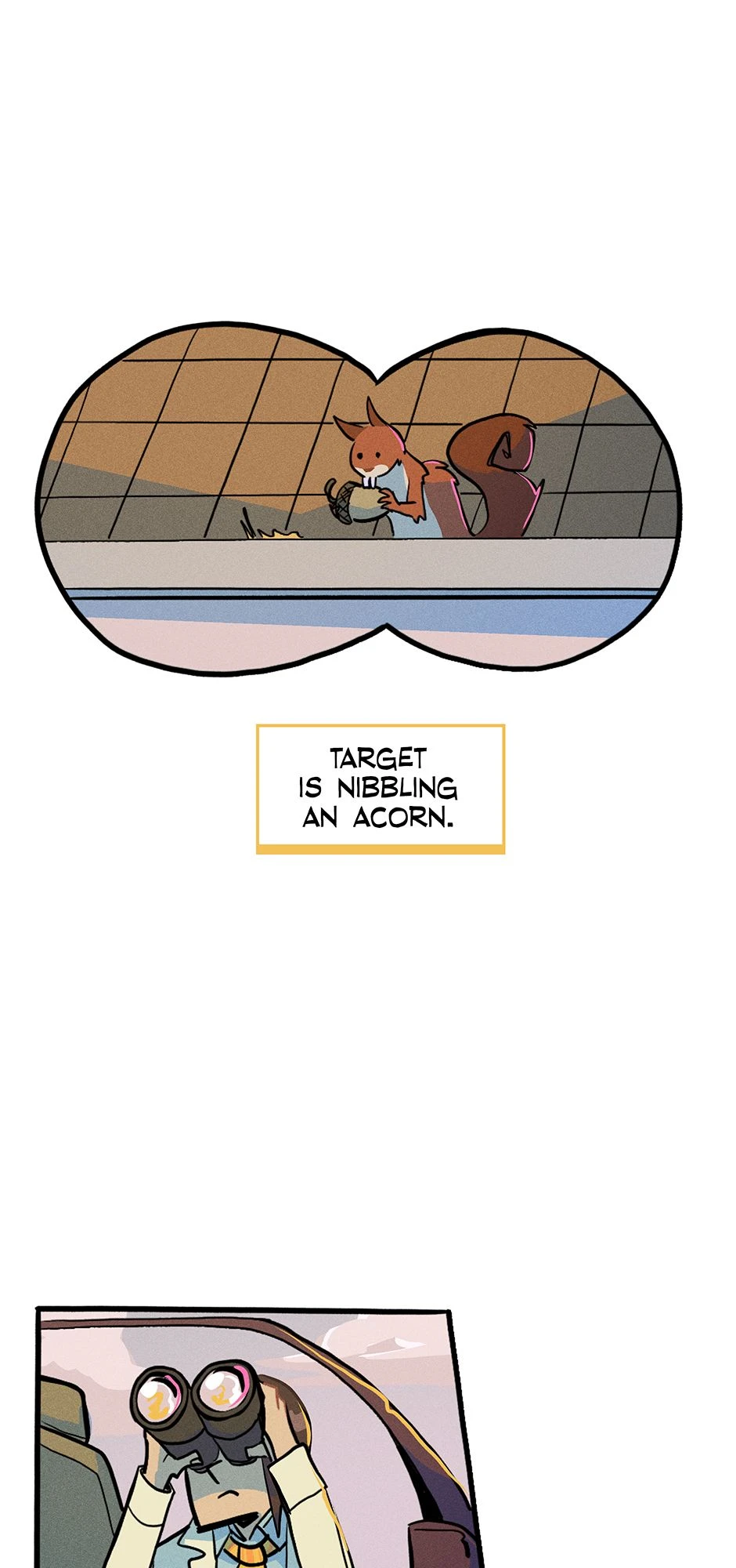 3. Revaluation，第 13 頁