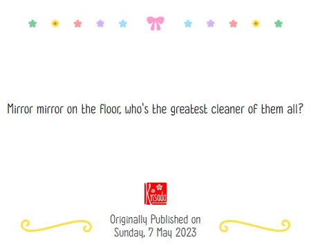209 Floor Cleaner, página 2