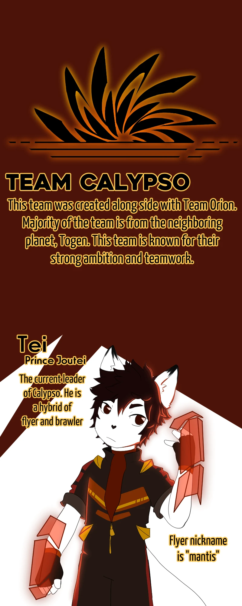 Space Shorts: Meet the Teams, page 13