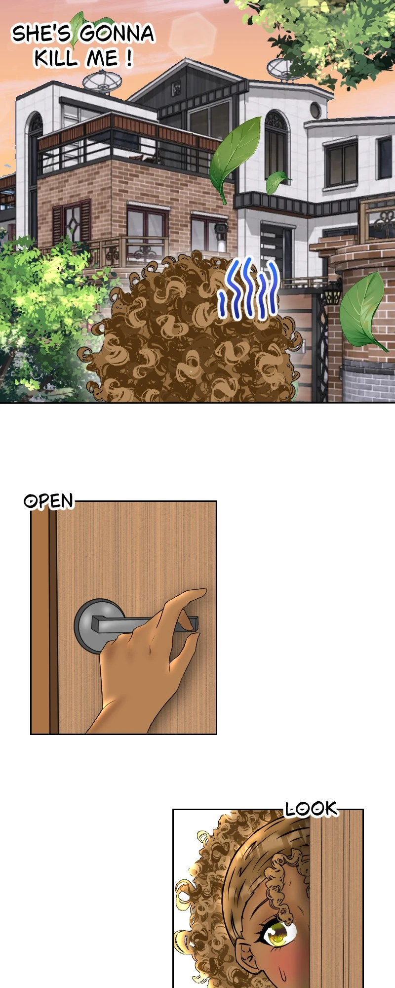Introduction, page 28