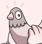 Pigeon voyageur.