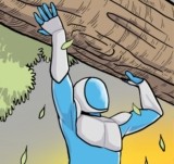 01 - tobillo (parte 1)