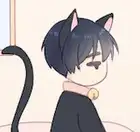 Special Episode 1 - A Stubborn Cat Love Story