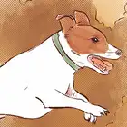 ch.11