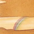 ch.13