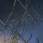 [Season 1] Ep. 5