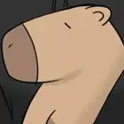 Chap 21