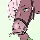 Épisode 10