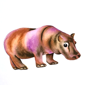 45. ◆The Background of the Hippo Picture