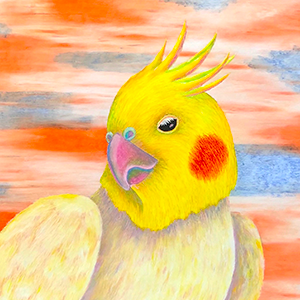 52. Sunset in the Cheek(2/2)