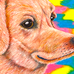 73. Come Play with Me(3/3)