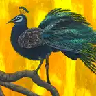 107. Resting Feathers(3/3)