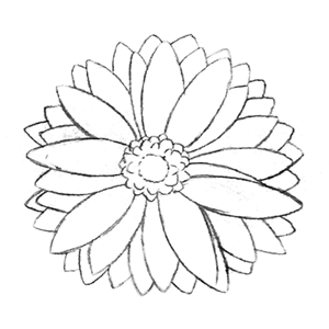 109. ◆Sketching a Gerbera