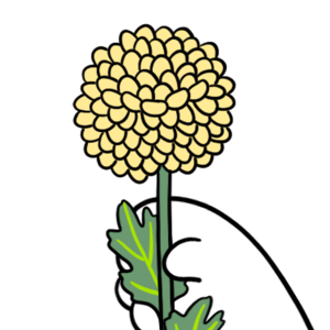 114. ◆Sketching a Chrysanthemum