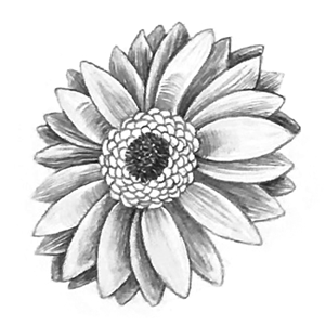 117. ◆Adding Line Art Details