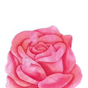 122. ◆Painting Roses in Watercolor