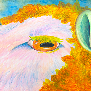 127. Beyond the Sheep's Gaze