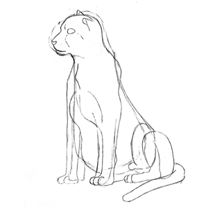 138. ◆Sketching a Cheetah