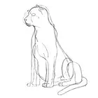 138. ◆Sketching a Cheetah