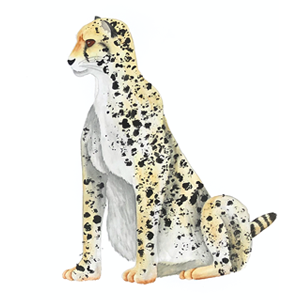 139. ◆Painting Cheetah Patterns