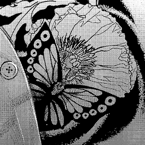 1.12 Butterfly
