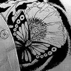 1.12 Butterfly