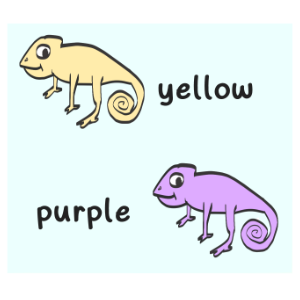 A COMPLEMENTARY OF CHAMELEONS