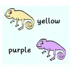 A COMPLEMENTARY OF CHAMELEONS