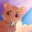 Chapter 5