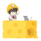 038 Year of Metal Rat