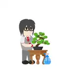 080 Bonsai
