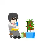 158 Tomato Observation Report