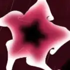 1.1 THE FALL OF A DEVIL'S TRUMPET