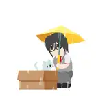 196 Cat in A Box
