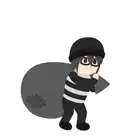 207 Burglar
