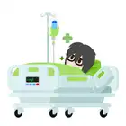 270 Patient
