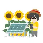 304 Solar Power