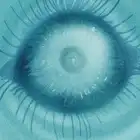 Blink