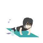 375 Push-Up
