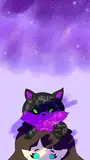 shadylucy