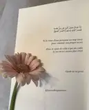 dahliaamasraoui