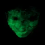 iaky_lp_06