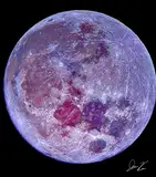 HayJay
