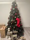 eifigvkt