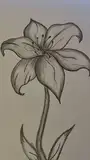 soumahmamadama897