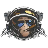 Space Chimp