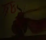 Esan Hoof