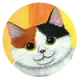 MikesakaTamaki