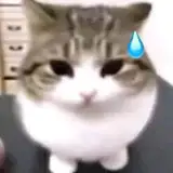 Danik22